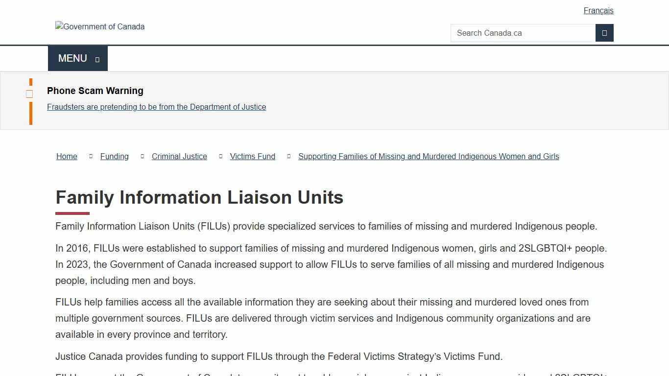 Family Information Liaison Units
